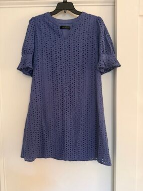 Nordstrom Blue Eyelet Mini Dress with Ruffle Sleeves